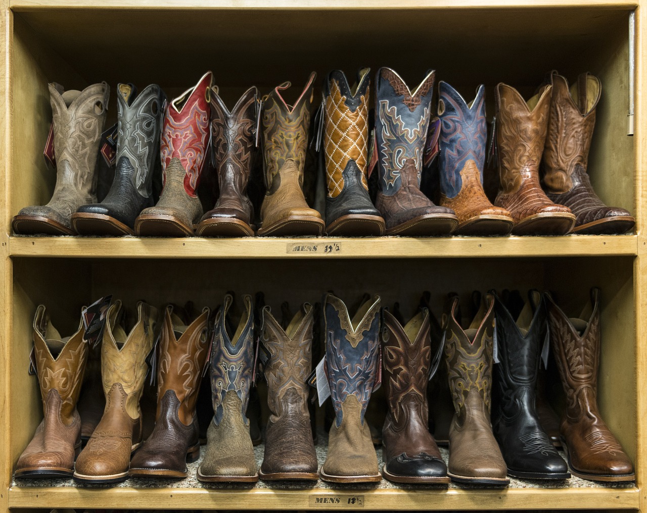 3 Differences Between Caiman Leather and Alligator Leather – Country View  Western Store